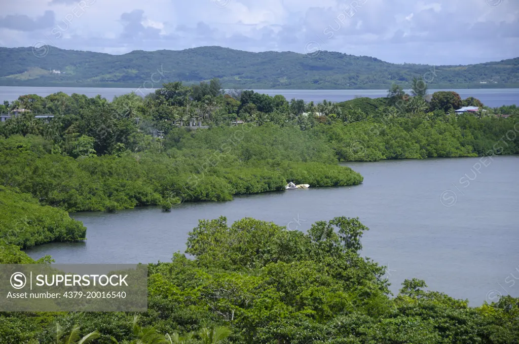Vegetation around the island, Koror Island, Palau