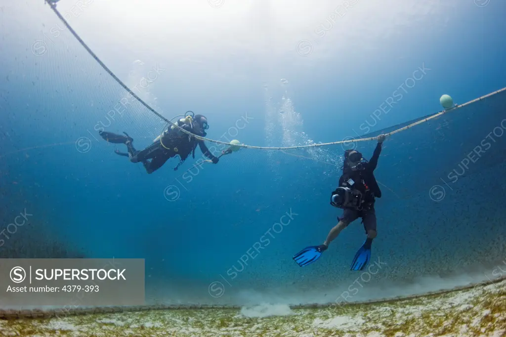 Divers working on a project about turtle exclusion devices (TEDs) film while holding on to a trawl net as it is dragged across the sea floor.