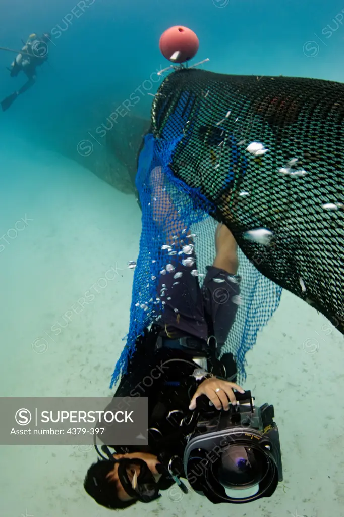 A diver films while being pulled in a trawl net. The net has a turtle exclusion device (TED) in place, which allows captured sea turtles to escape.