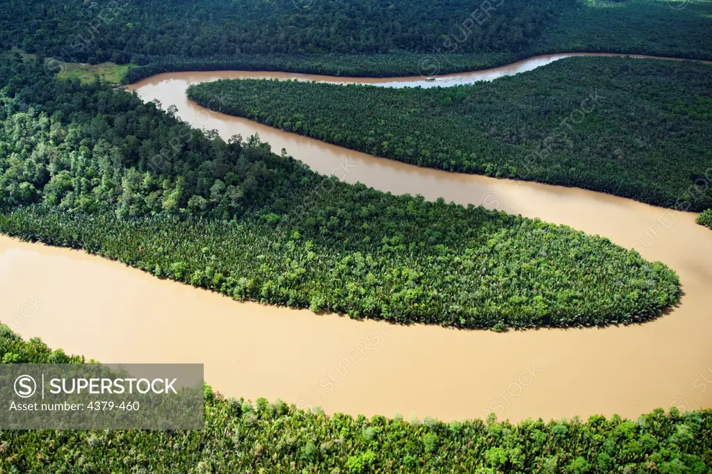 The Kinabatangan River, heavy with silt, winds its way through the jungle in Malaysia. The lower reach of the river has some of the highest concentrations of wildlife in Borneo.