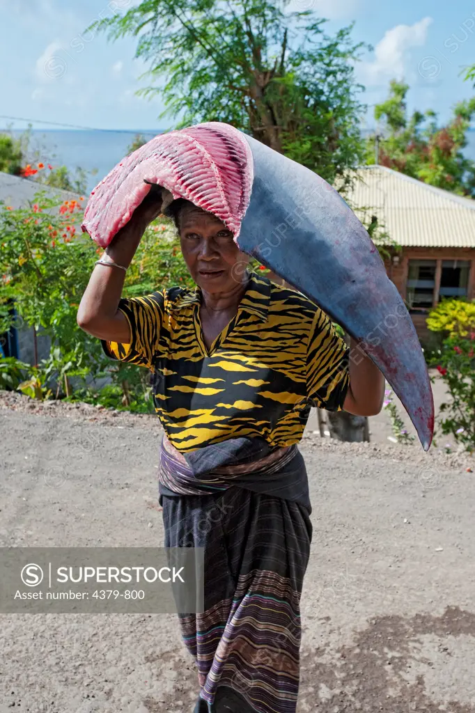 A woman carrying a part of a manta, Lamalera, Lembata Island, Eastern Indonesia.