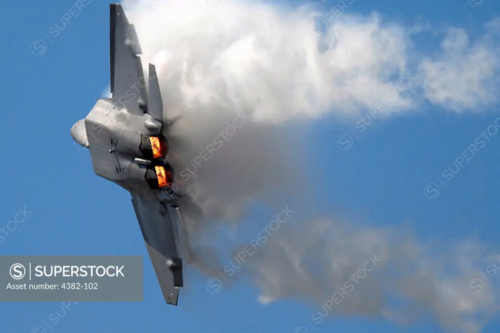 F-22 Raptor in Flight