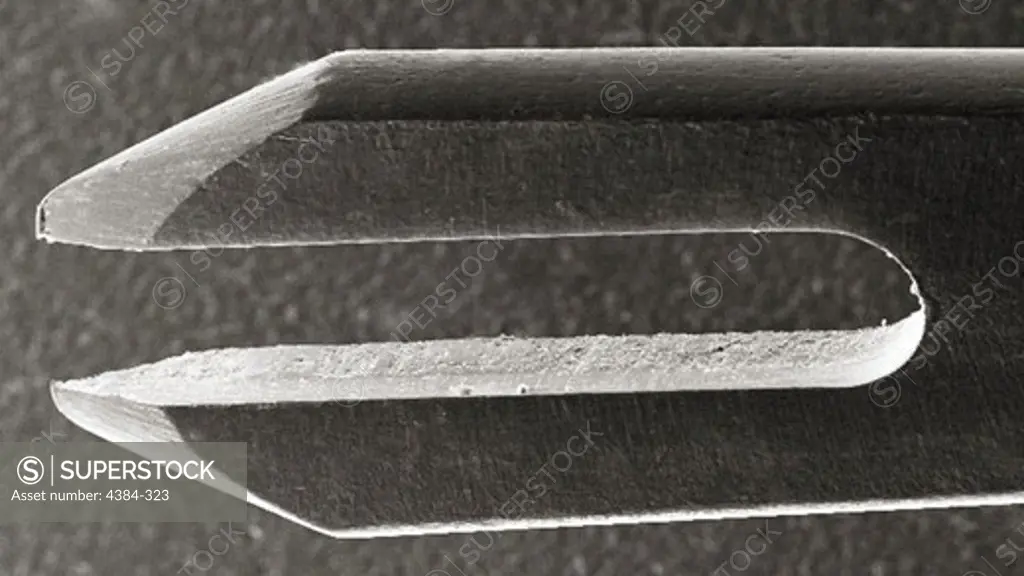 Scanning Electron Micrograph of Bifurcated Smallpox Vaccination Needle