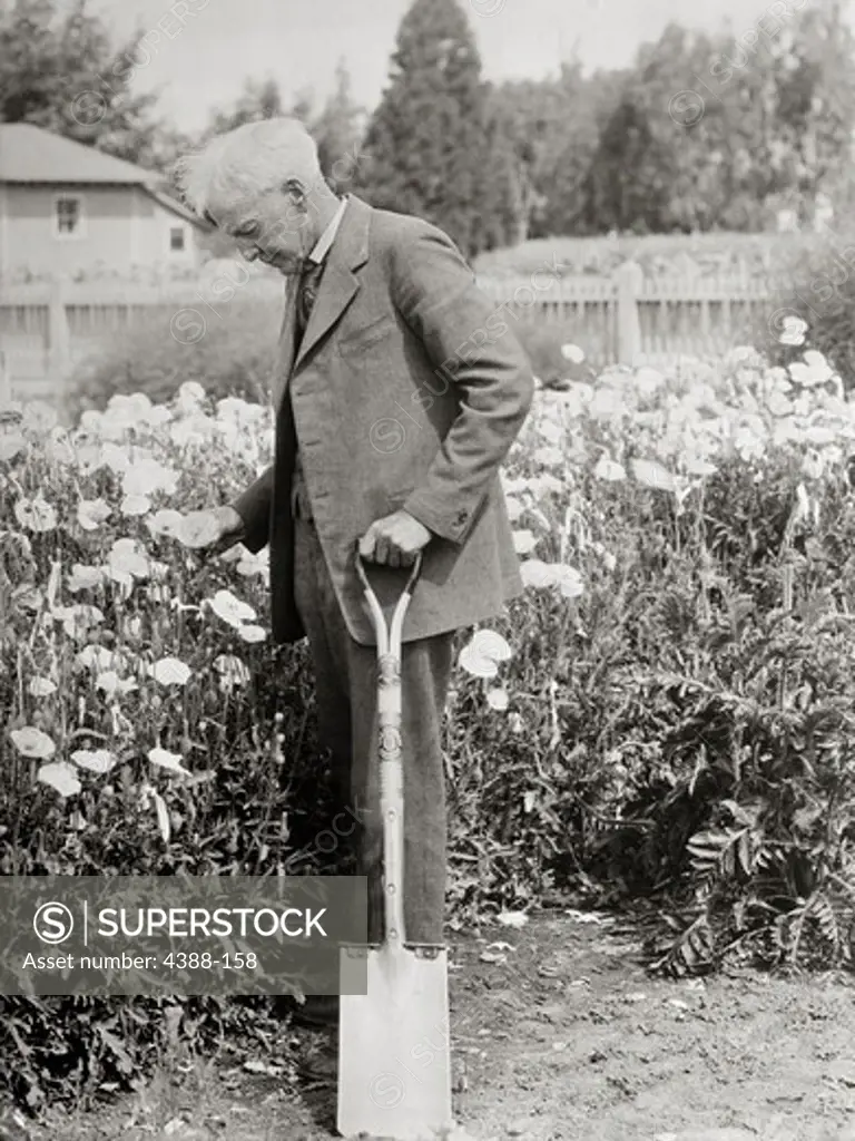 American Horticulturalist Luther Burbank