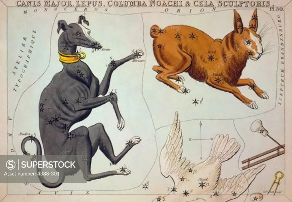 Constellation Card of  Canis Major and Others