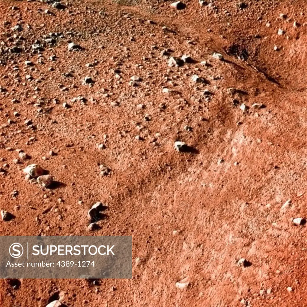 Polygonal Terrain Seen on Mars