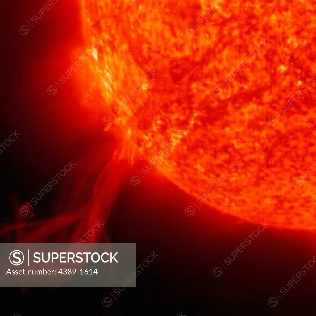 The Solar and Heliospheric Observatory (SOHO) observed a huge eruptive prominence arching out from the Sun.  It was captured it in extreme ultraviolet light (ionized helium at 304 angstroms) and formed a loop that extended forty times the diameter of Earth.