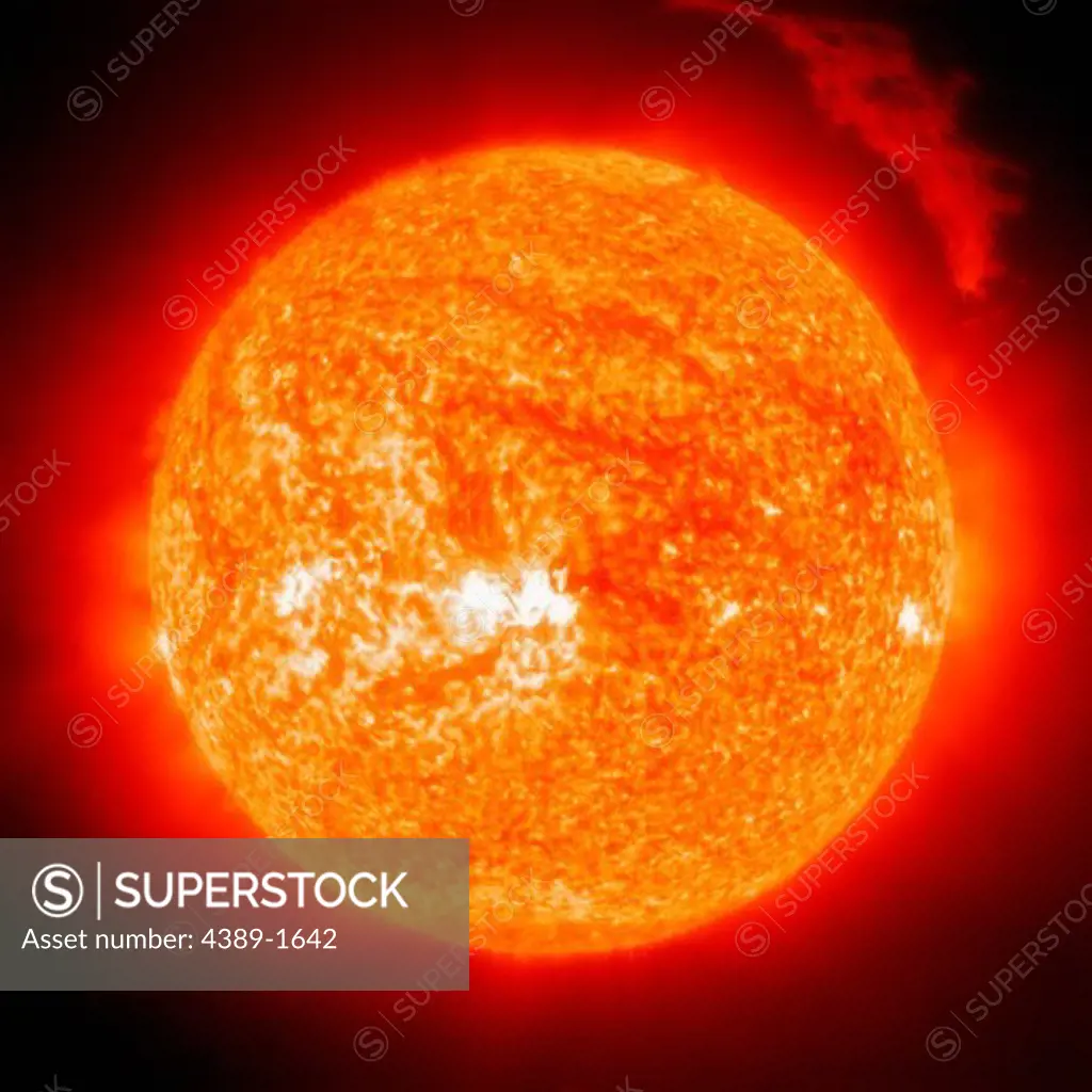 The Sun ejects a spectacular 'eruptive prominence,' a mass of relatively cool plasma, into space. The gas was relatively cool - only 60,000-80,000 Kelvin (110,000 - 145,000 degrees F) compared with the fiery 1.5 million degree K plasma (2.7 million F) surrounding it in the Sun's outer atmosphere, or corona. At the time of this snapshot, the eruptive prominence was over 700,000 km (430,000 miles across), over 50 times the Earth's diameter. This image from the Solar and Heliospheric Observatory (S