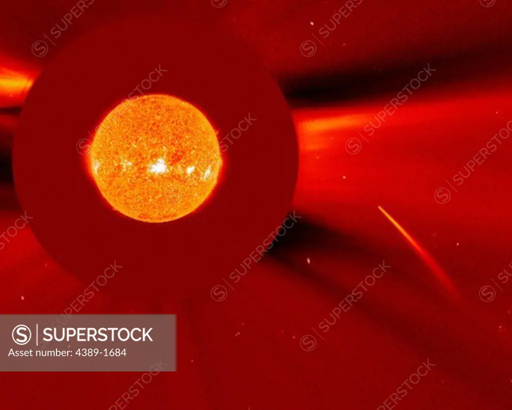 A comet with a long tail appears in the Solar and Heliospheric Observatory (SOHO)'s coronagraph instrument, seemingly streaking right towards the Sun. Nearly all of the sungrazers observed by SOHO are members of the same group, the Kreutz group, the remains of a single, parent comet that broke up some centuries ago.  The Sun has been superimposed where it would be in the center of the red occulting disk.