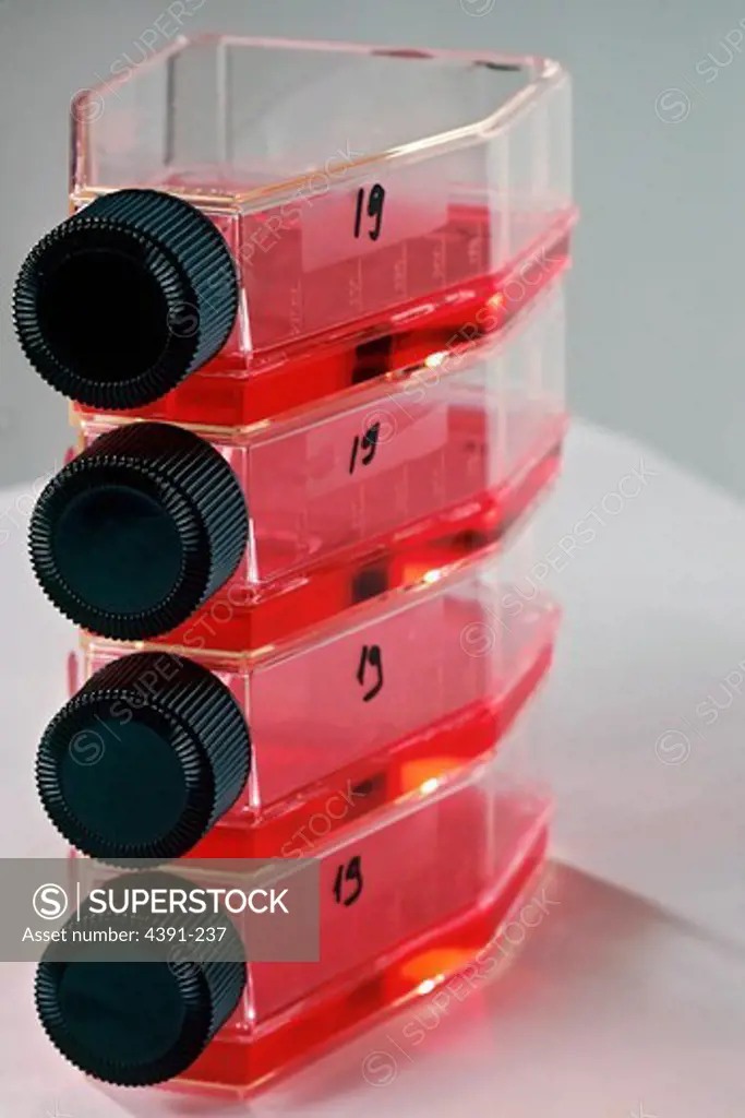 A stack of bottles containing tissue culture medium, which provides nourishment to growing cells.