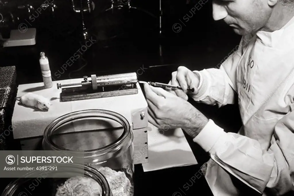 W. Heston giving an intravenous injection to mice. Heston, around 1944, studied pulmonary tumors and heredity in mice with an attempt to localize tumor susceptibility to specific genes