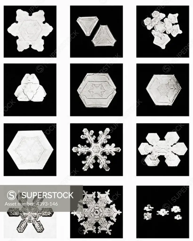 Plate II of Studies Among Snow Crystals