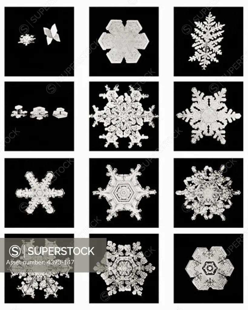 Plate III of Studies Among Snow Crystals