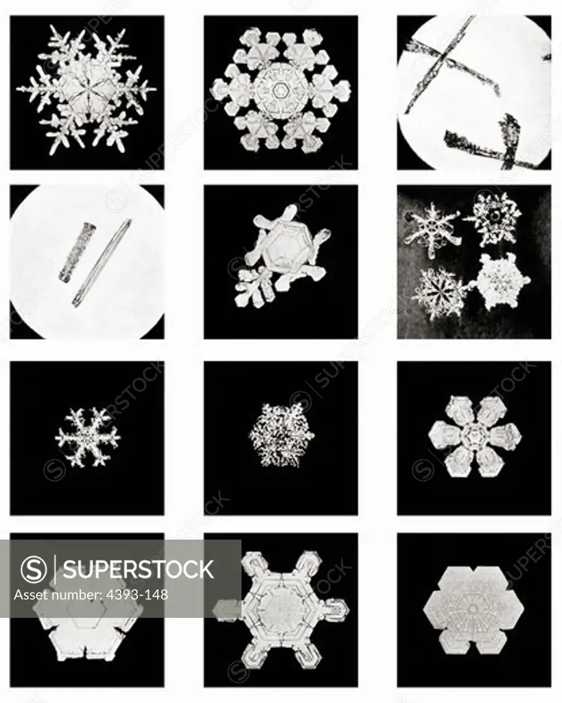 Plate IV of Studies Among Snow Crystals