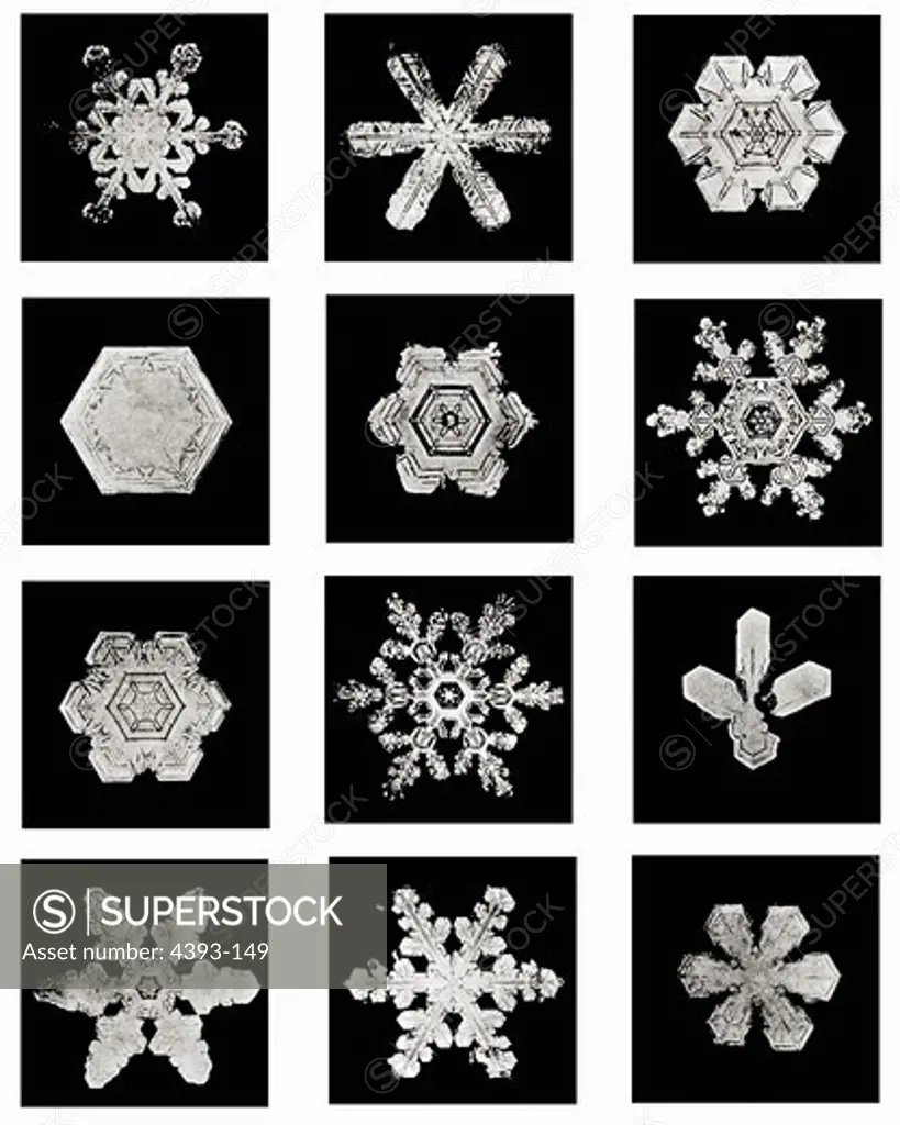 Plate V of Studies Among Snow Crystals