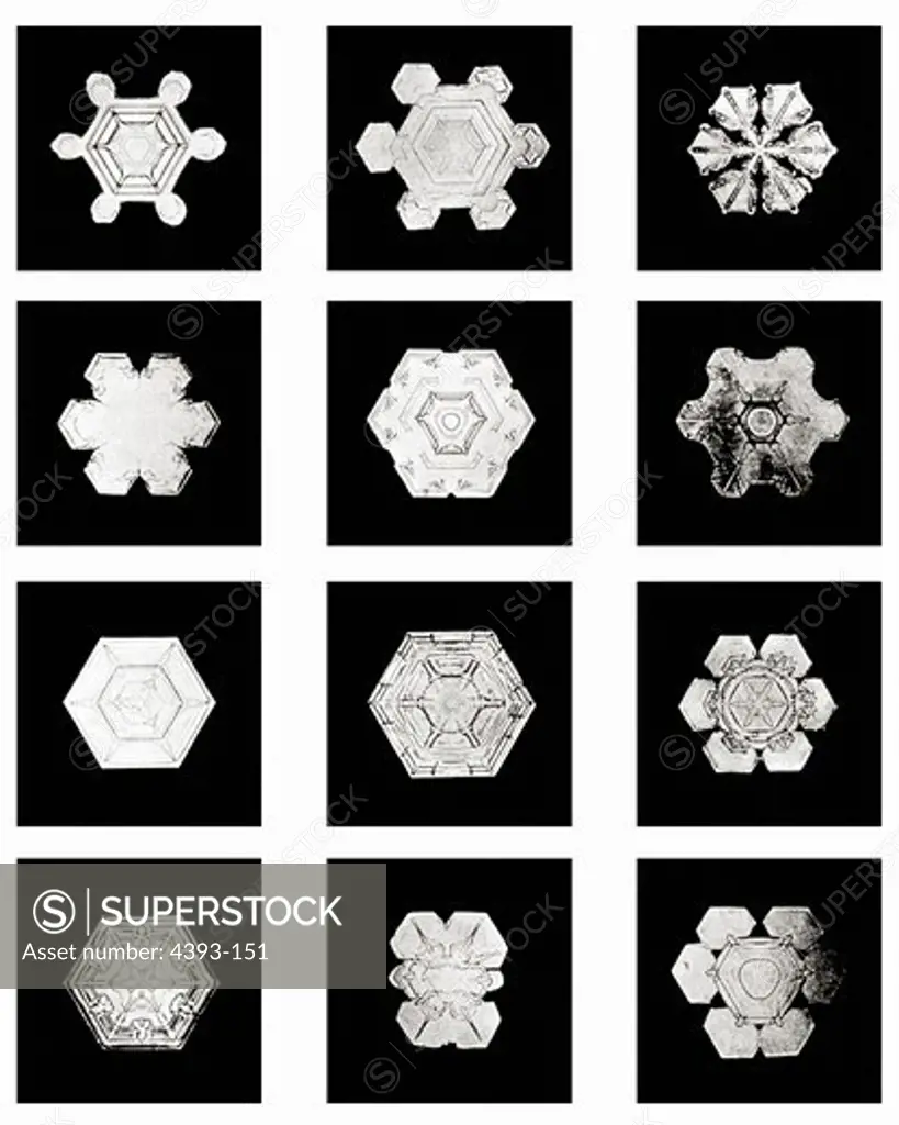 Plate VII of Studies Among Snow Crystals