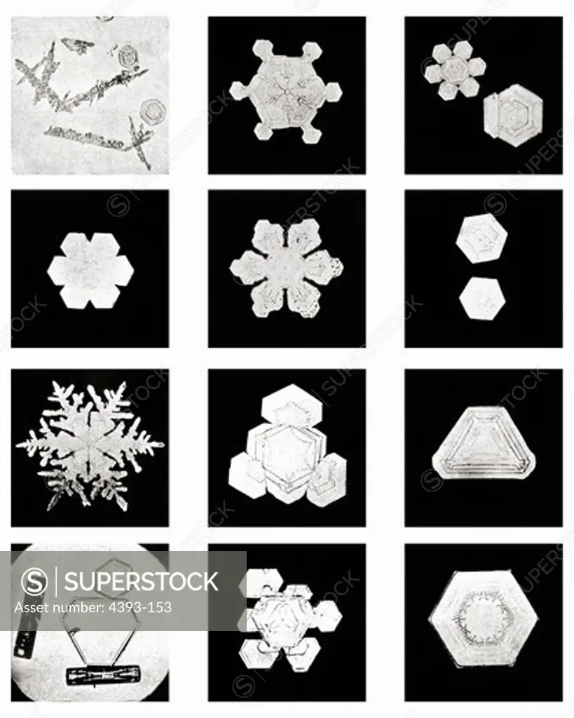 Plate IX of Studies Among Snow Crystals