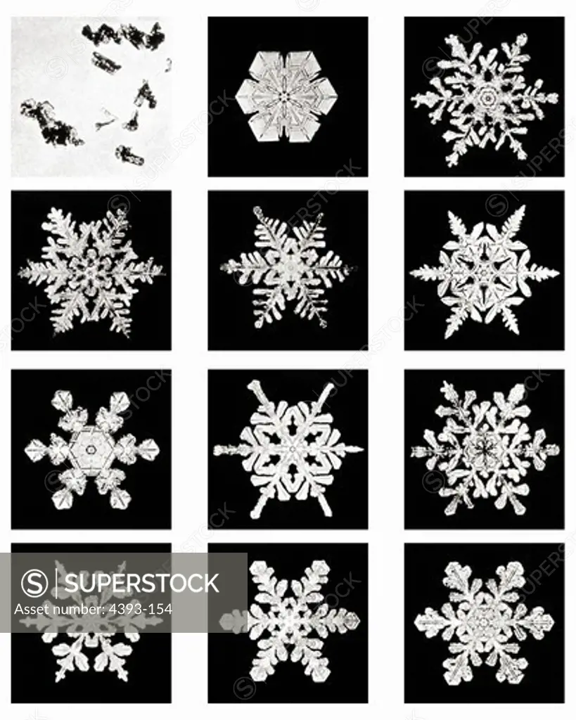 Plate X of Studies Among Snow Crystals
