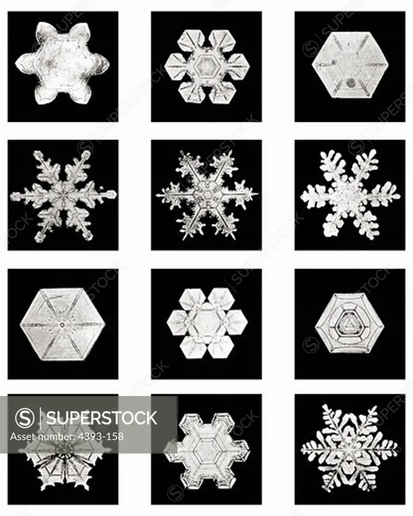Plate XIV of Studies Among Snow Crystals