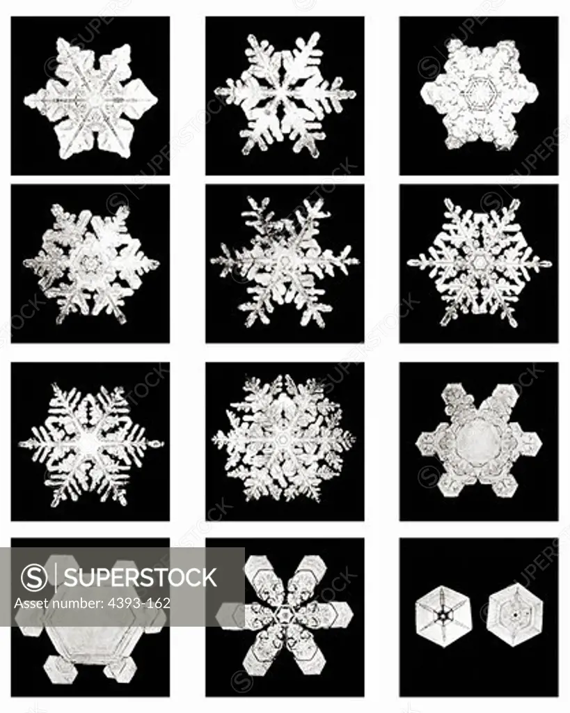 Plate XVIII of Studies Among Snow Crystals