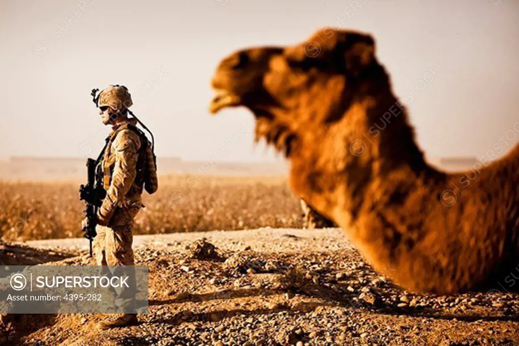 NAWA, Helmand province, Islamic Republic of Afghanistan Ñ Lance Cpl. Steven Finlayson, a team leader with Headquarters Company