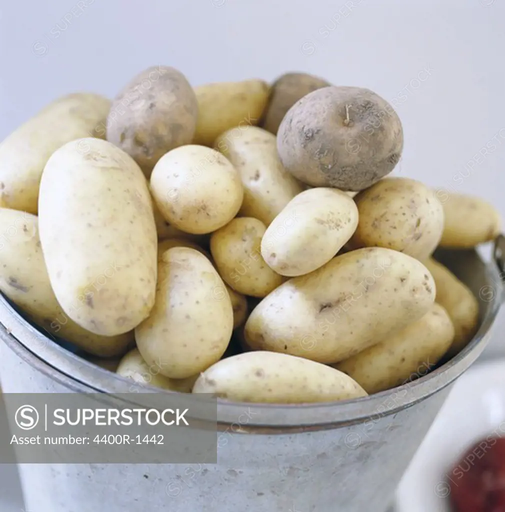 Pail of potatoes, Sweden.