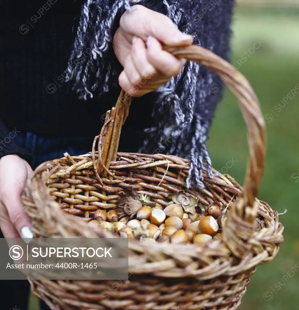 A woman with a basket full of hazelnuts, Skane, Sweden.
