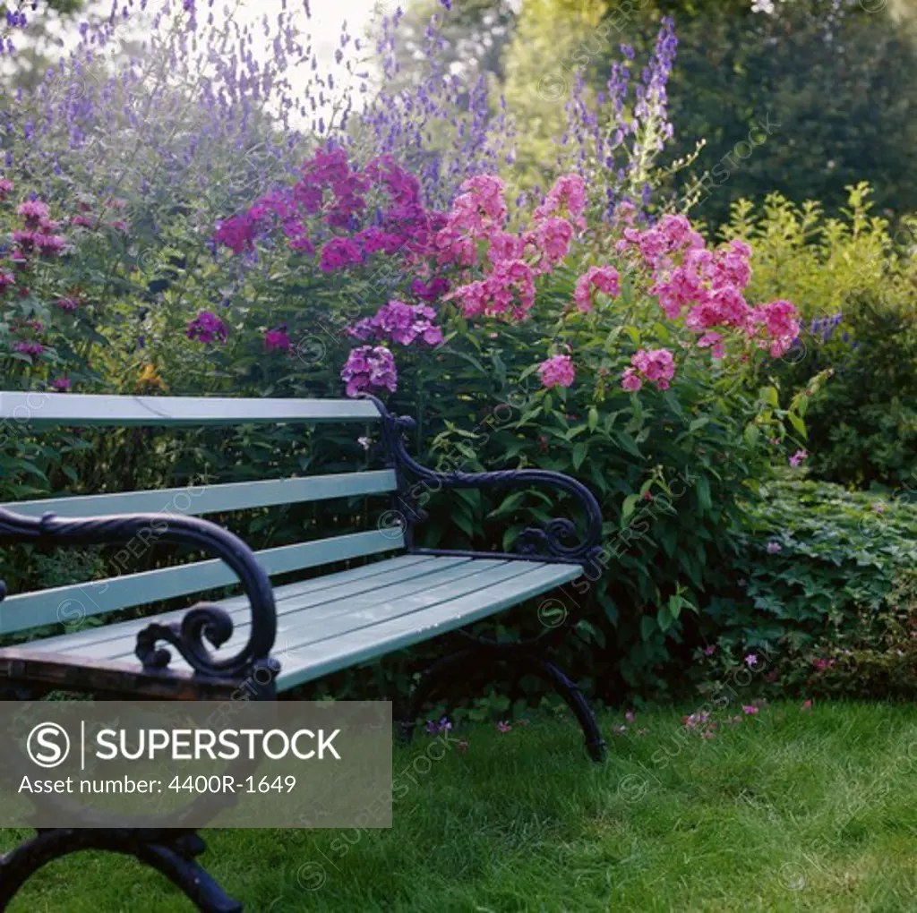 A bench in a garden, Sweden.