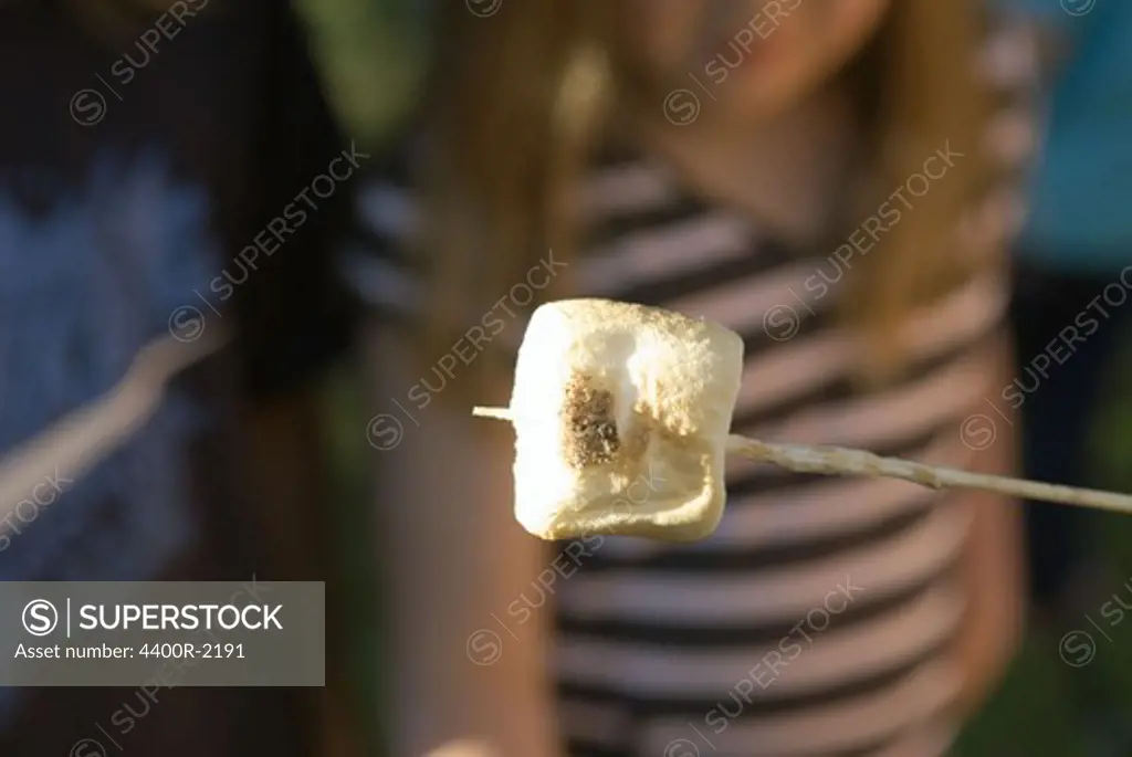 A marshmallow on the end of a stick, Sweden.