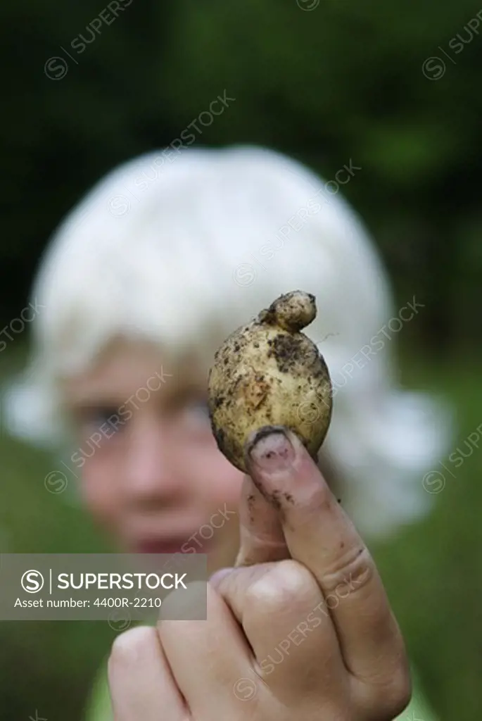 A boy holding a potato, Sweden.