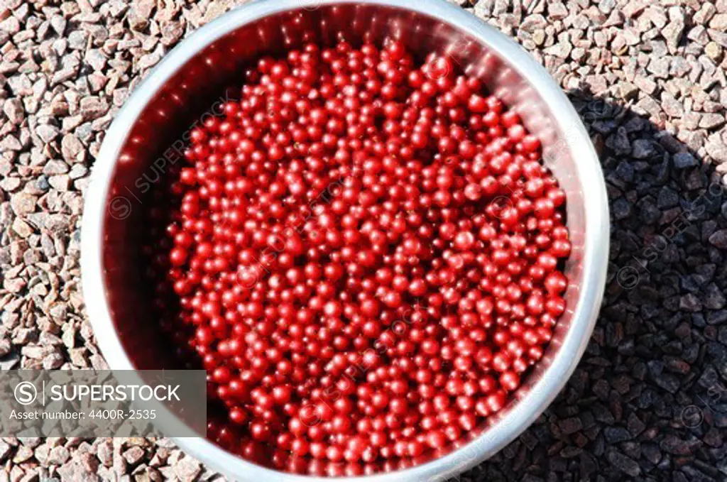 Red currants.