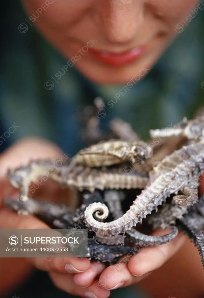 A women holding seahorses in her hands
