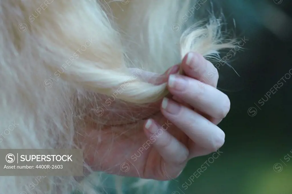 Fingers in blond hair, close-up.