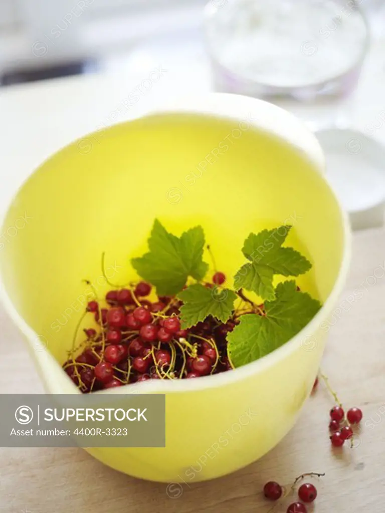 Redcurrants in a bowl, Sweden.