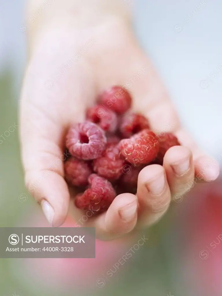Holding raspberries, Sweden.