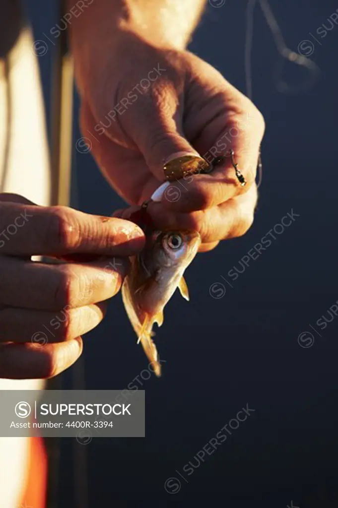 A small fish in a hand.