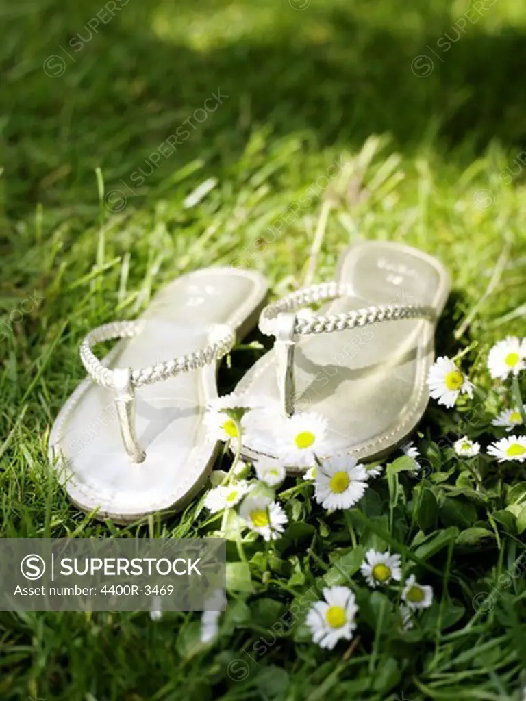 Flip-flops in the grass, Sweden.