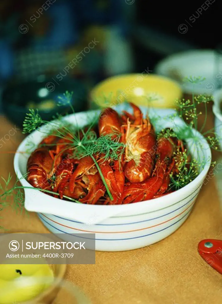 Crayfish in a bowl, Sweden.