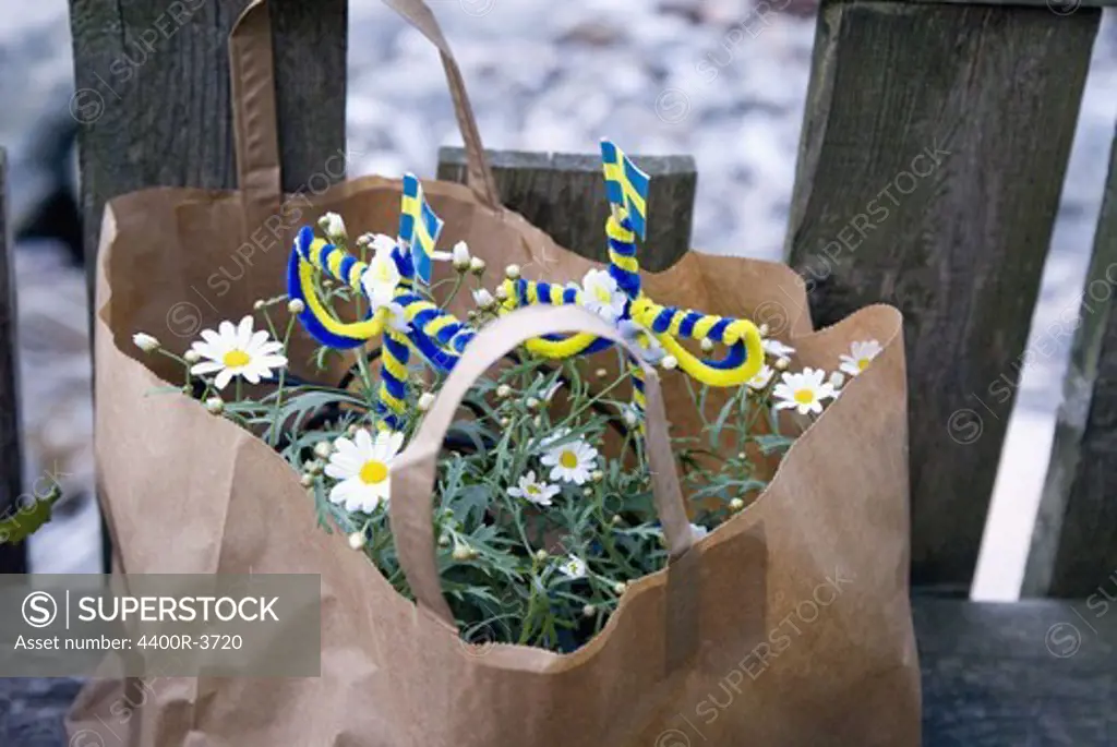 A flowerfor midsummer in a paperbag, Sweden.