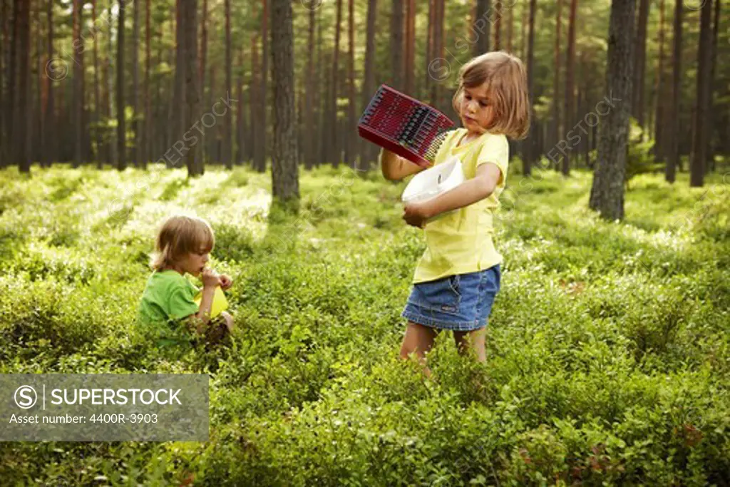 Siblings picking bluberrys in the forest