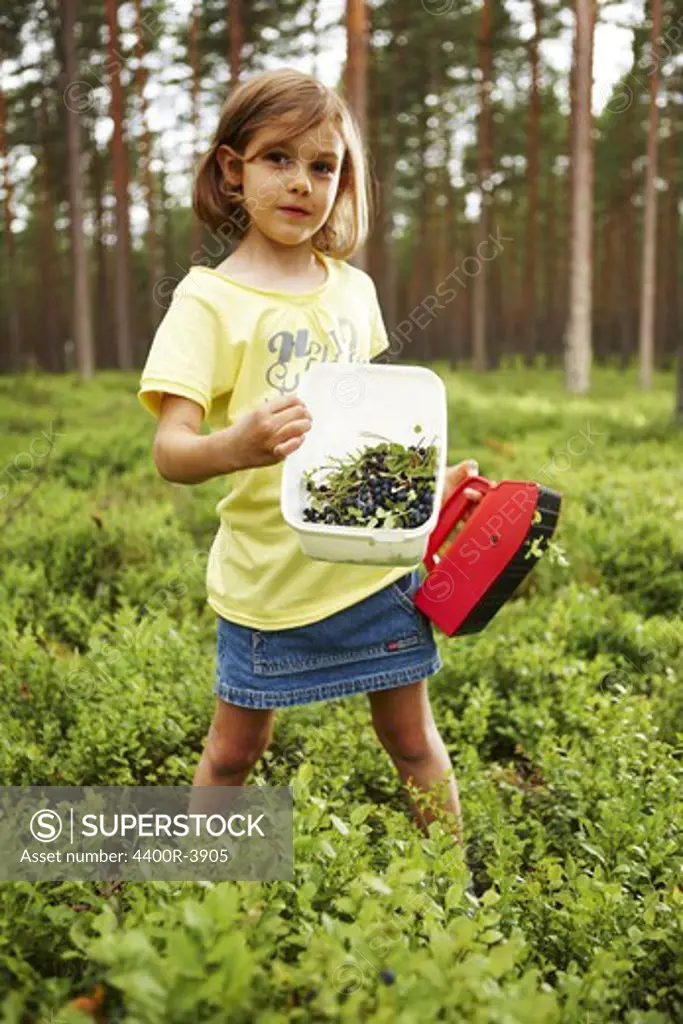 A girl picking bluberrys in the forest