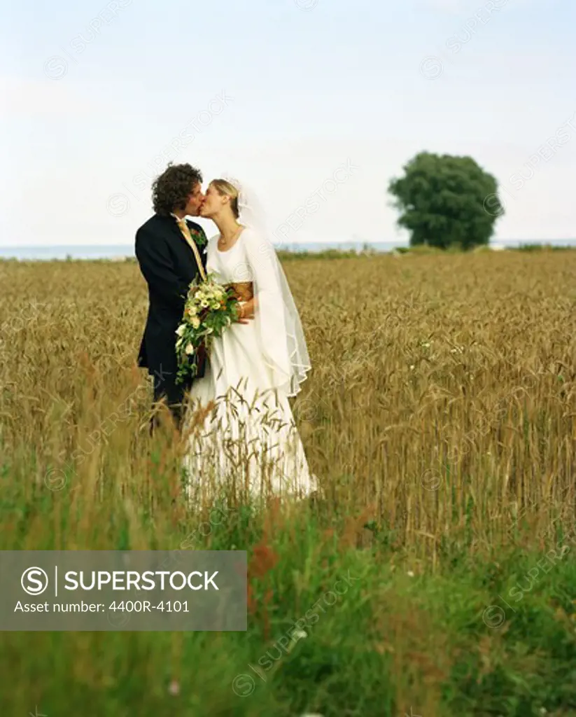 Scandinavia, Sweden, Oland, Bride and groom kissing in field