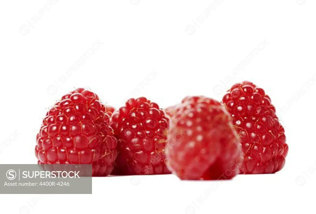 Four raspberries, studio shot