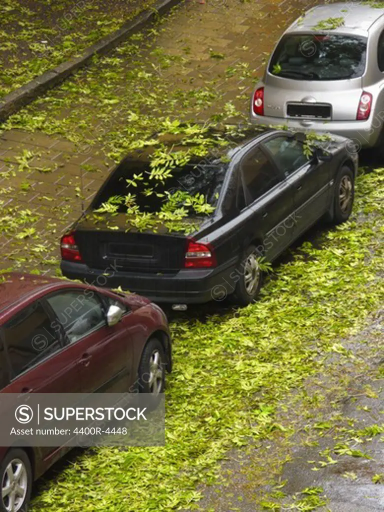 Cars covered with leaves