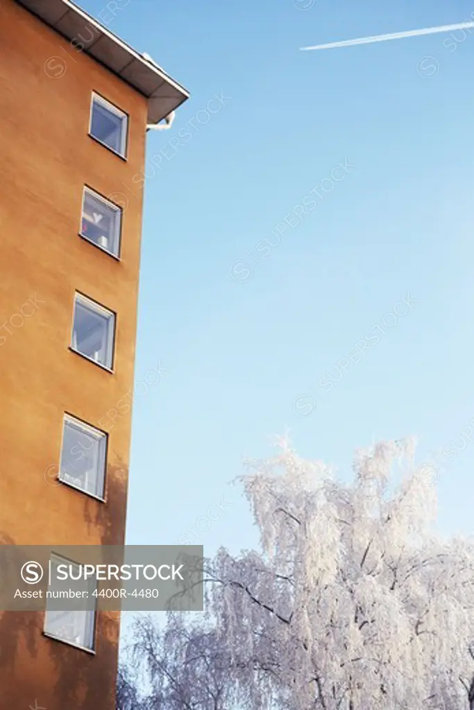 Building and snow covered tree with vapour trail in sky