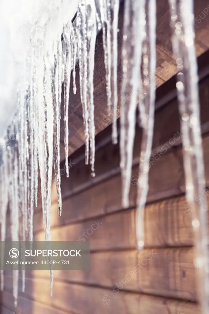 Icicle on wooden roof