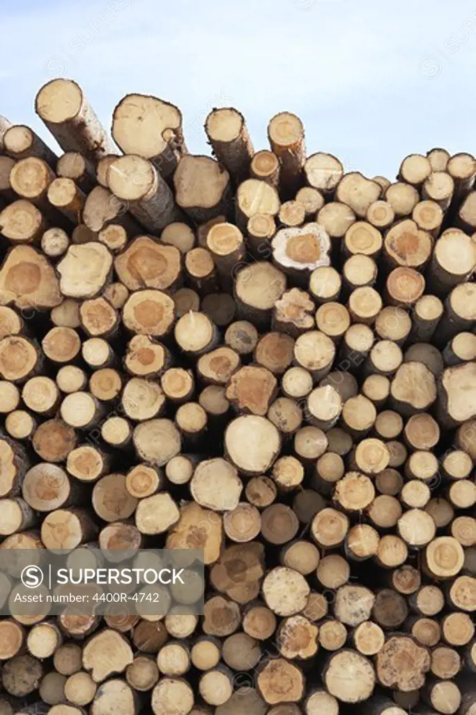 Stack of various firewood