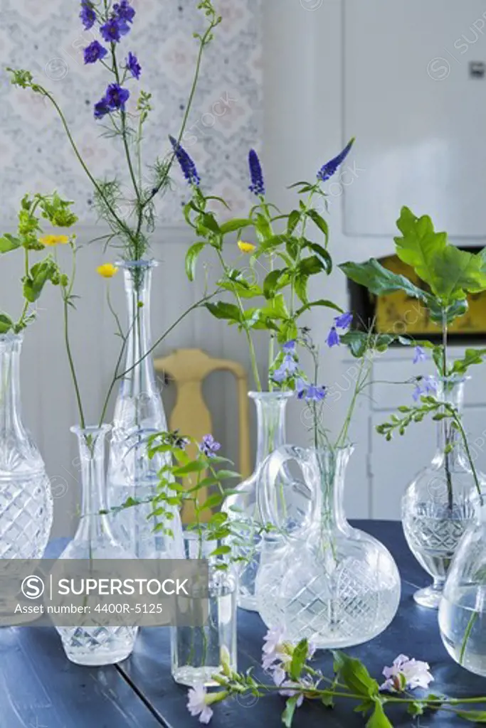 Collection of plants in vases