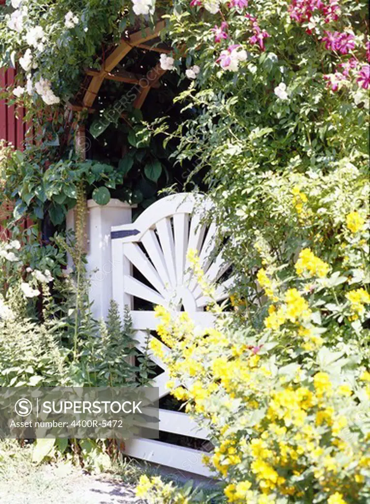 A gate to a garden, Sandhamn, Sweden.