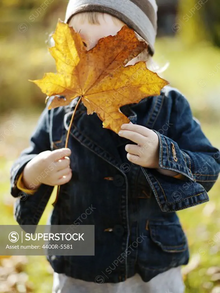A girl holding a maple leaf, Sweden.